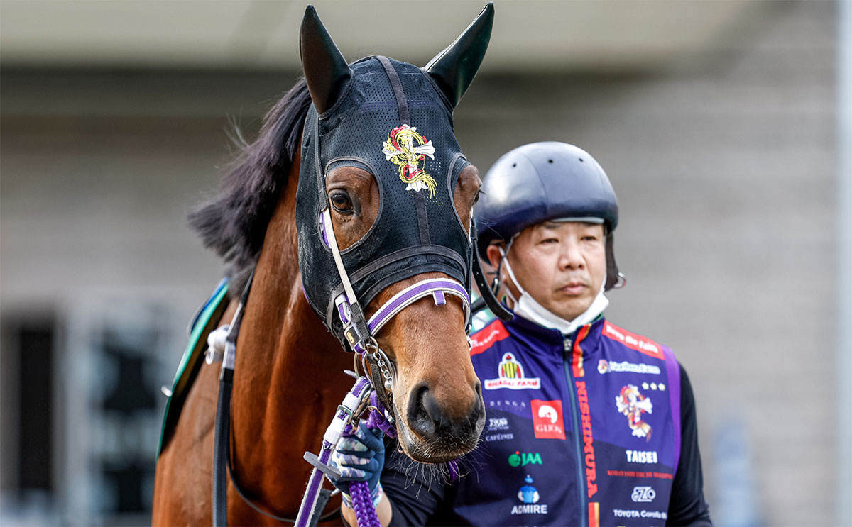 パドックでのファントムシーフ(撮影：下野雄規)