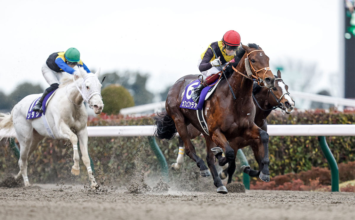 第39回フェブラリーステークスを制したカフェファラオ、鞍上は福永祐一騎手(撮影：下野雄規)