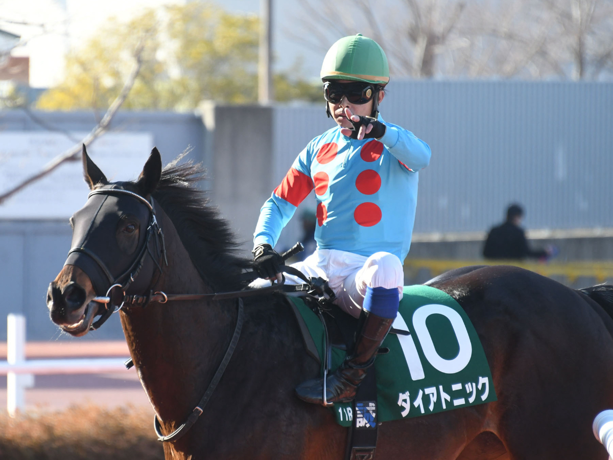 【阪急杯2023予想】有利な枠順は？ 過去10年の枠番・馬番の成績/競馬予想データ