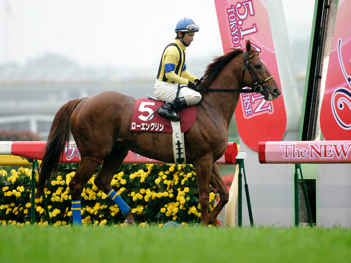 個性派として愛される名馬ローエングリン(撮影：下野雄規)