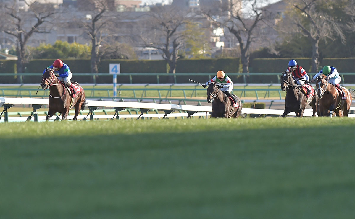 【中山記念予想】的中のポイントは道中の位置取りと前走着順！ 過去10年のレース結果（1～3着馬）のデータ一覧/競馬予想データ