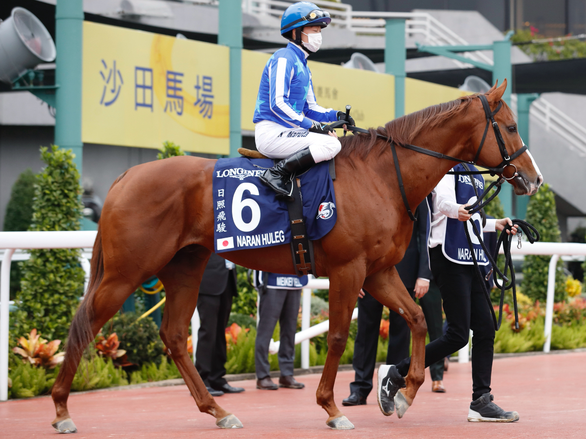 【オーシャンステークス2023予想】中山芝1200mで好成績の騎手は？ 騎乗予定騎手の過去10年成績/競馬予想データ