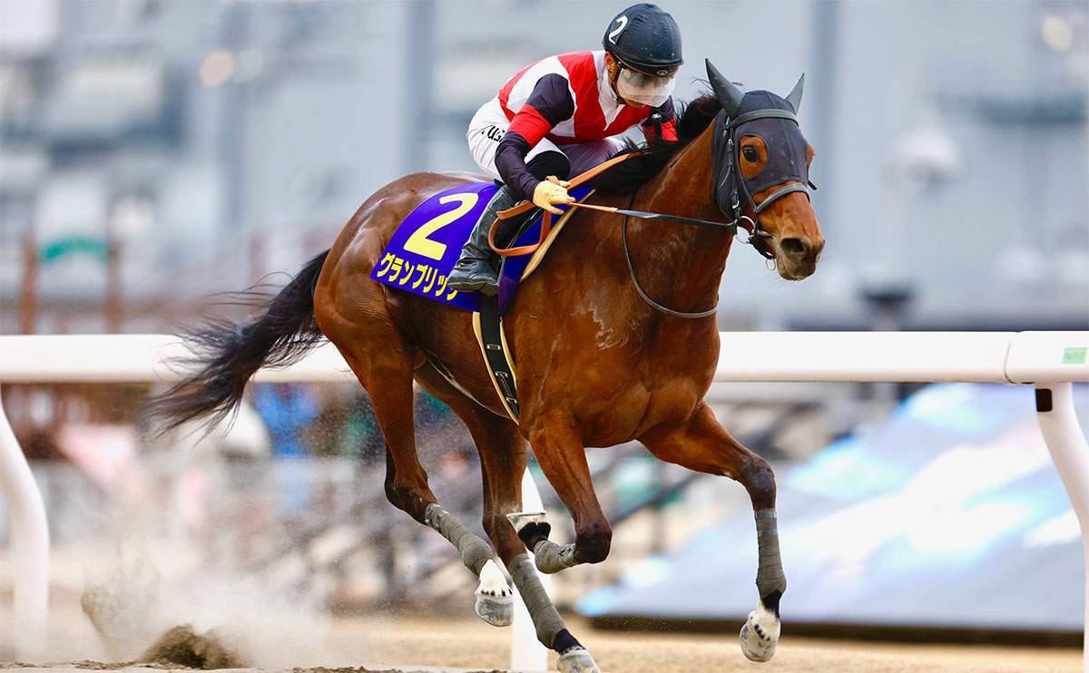 エンプレス杯を制したグランブリッジ(撮影：高橋正和)