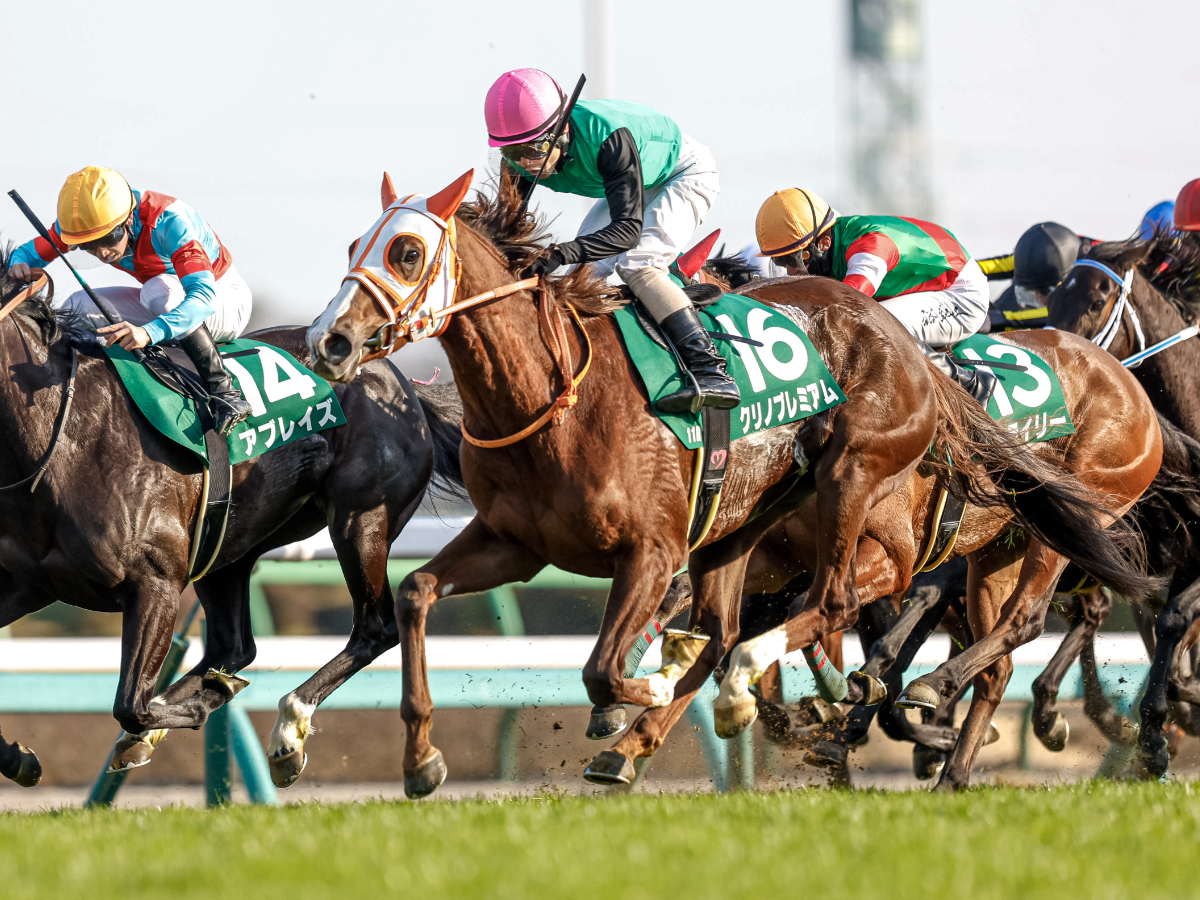 昨年の中山牝馬ステークス覇者クリノプレミアム(撮影：下野雄規)