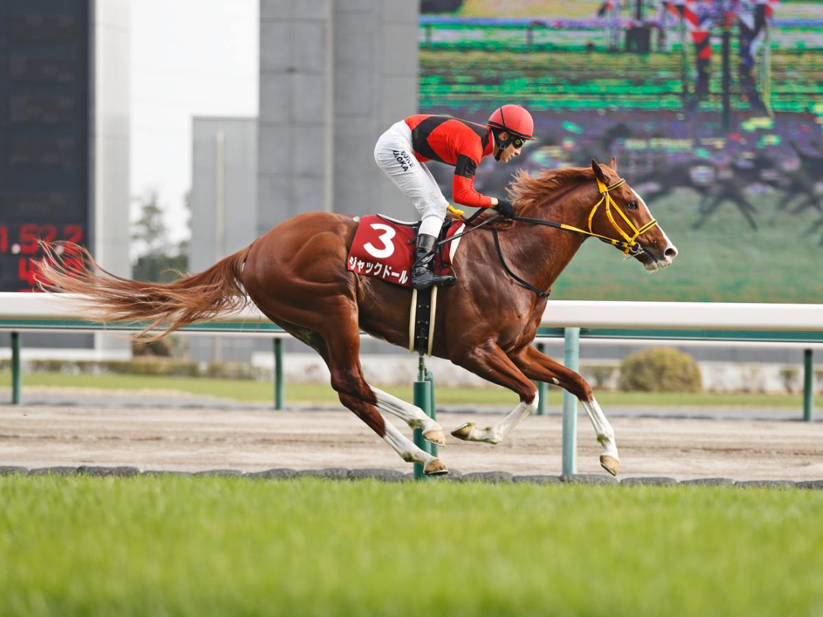 2022年の金鯱賞覇者ジャックドール(撮影：高橋正和)