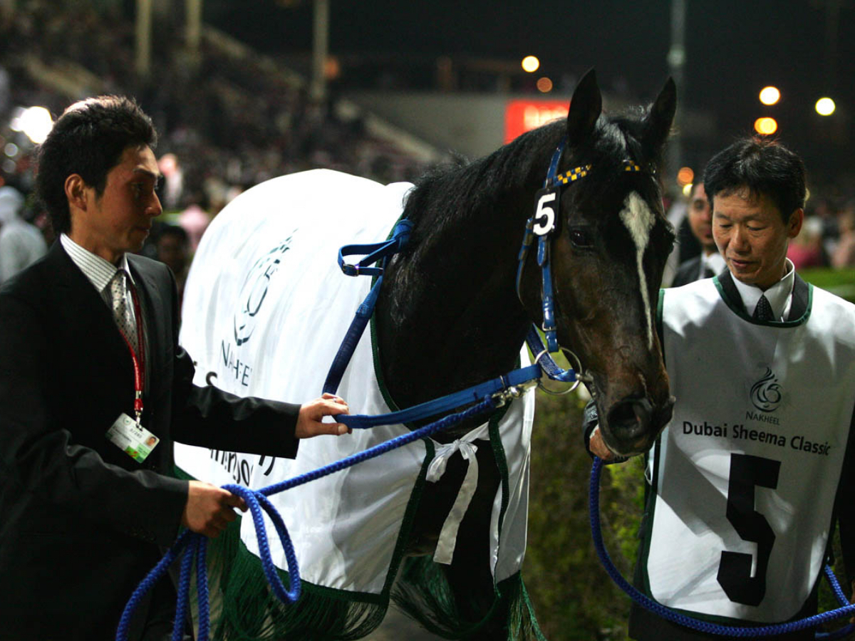 ドバイシーマクラシック勝利時のハーツクライ(撮影：高橋正和)