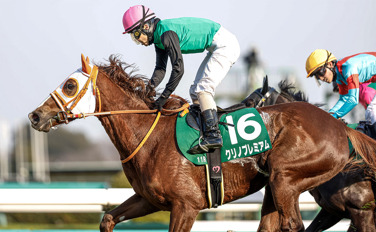 【中山牝馬S予想】過去の傾向から馬体重と上がり順位が的中のポイント！ 過去10年のレース結果（1～3着馬）のデータ一覧/競馬予想データ