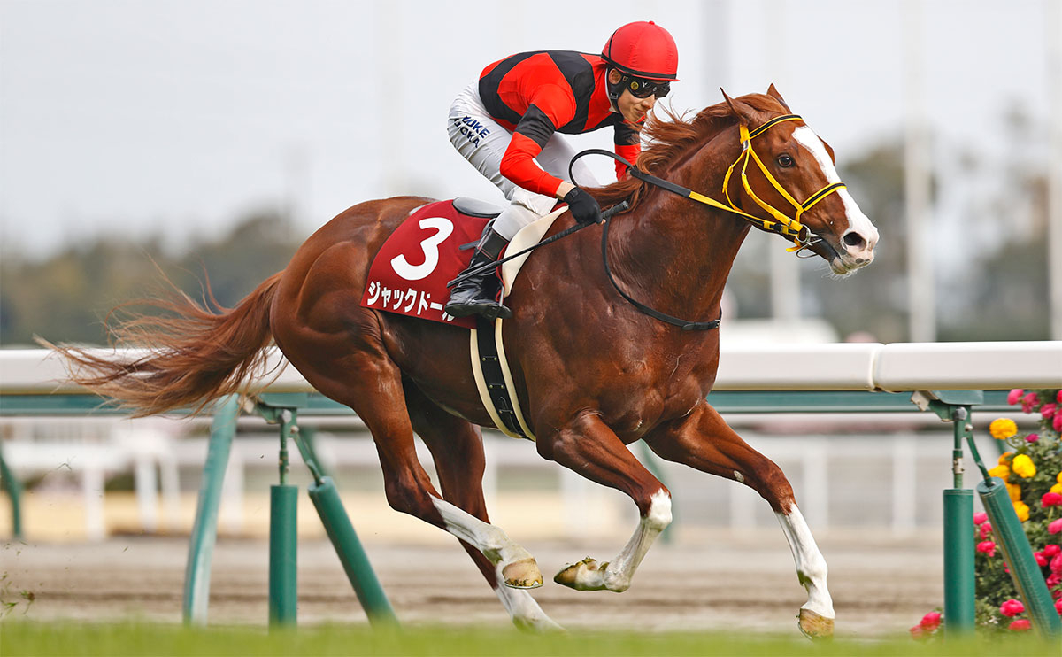 【金鯱賞予想】傾向から浮かび上がる的中のポイントは位置取りと前走！ 過去10年のレース結果（1～3着馬）のデータ一覧/競馬予想データ