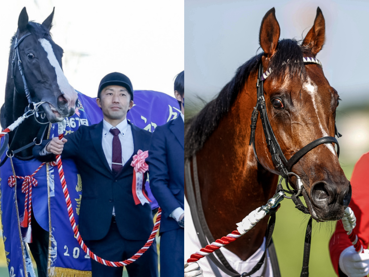 ドバイ参戦予定のイクイノックス(左)、ドウデュース(右)(撮影：下野雄規)
