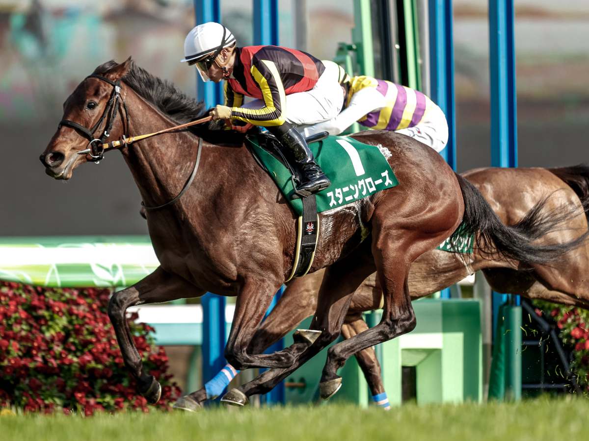 【フラワーカップ予想】有利な枠順は？ 過去10年の枠番・馬番の成績/競馬予想データ