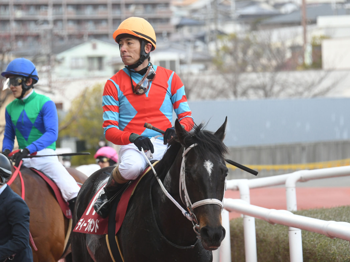 【阪神大賞典予想】有利な枠順は？ 過去10年の枠番・馬番の成績/競馬予想データ