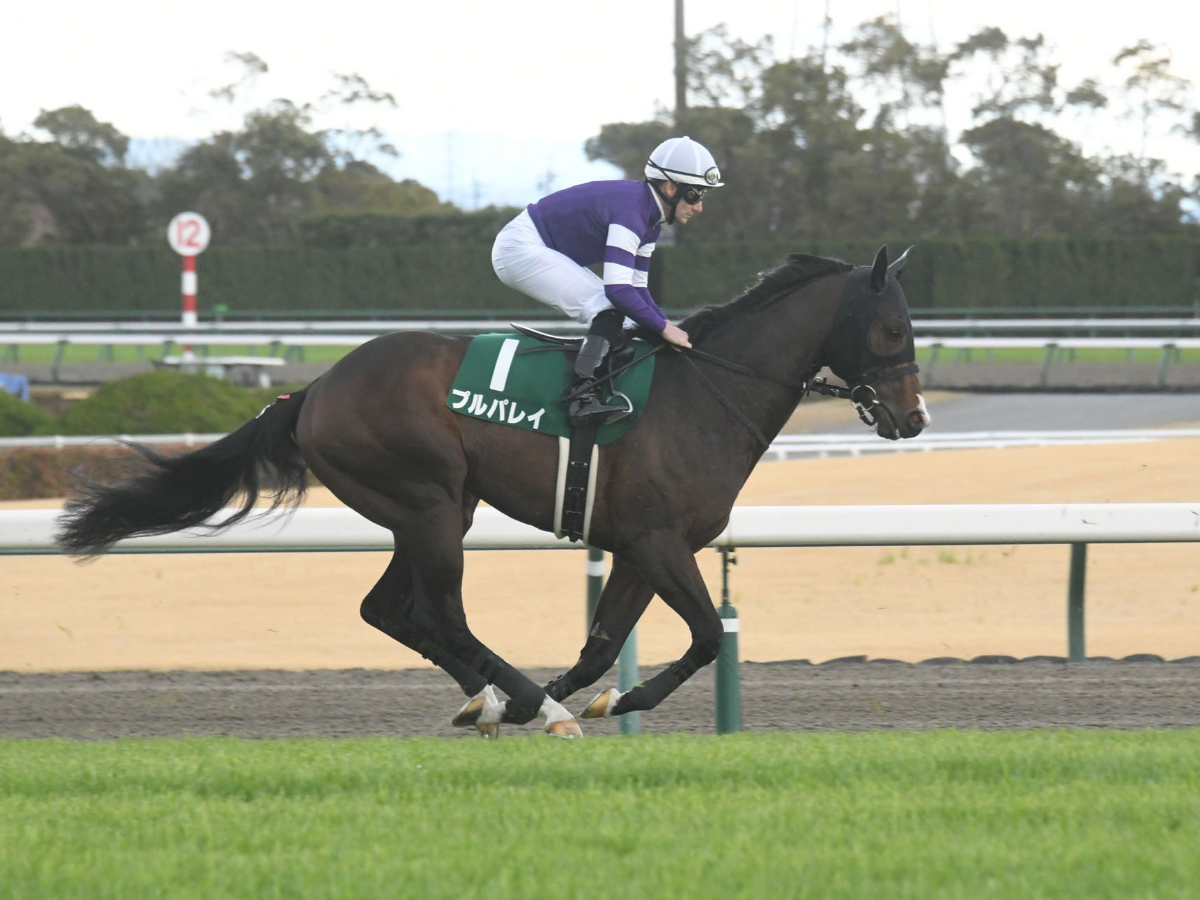 【ファルコンステークス予想】有利な枠順は？ 過去10年の枠番・馬番の成績/競馬予想データ