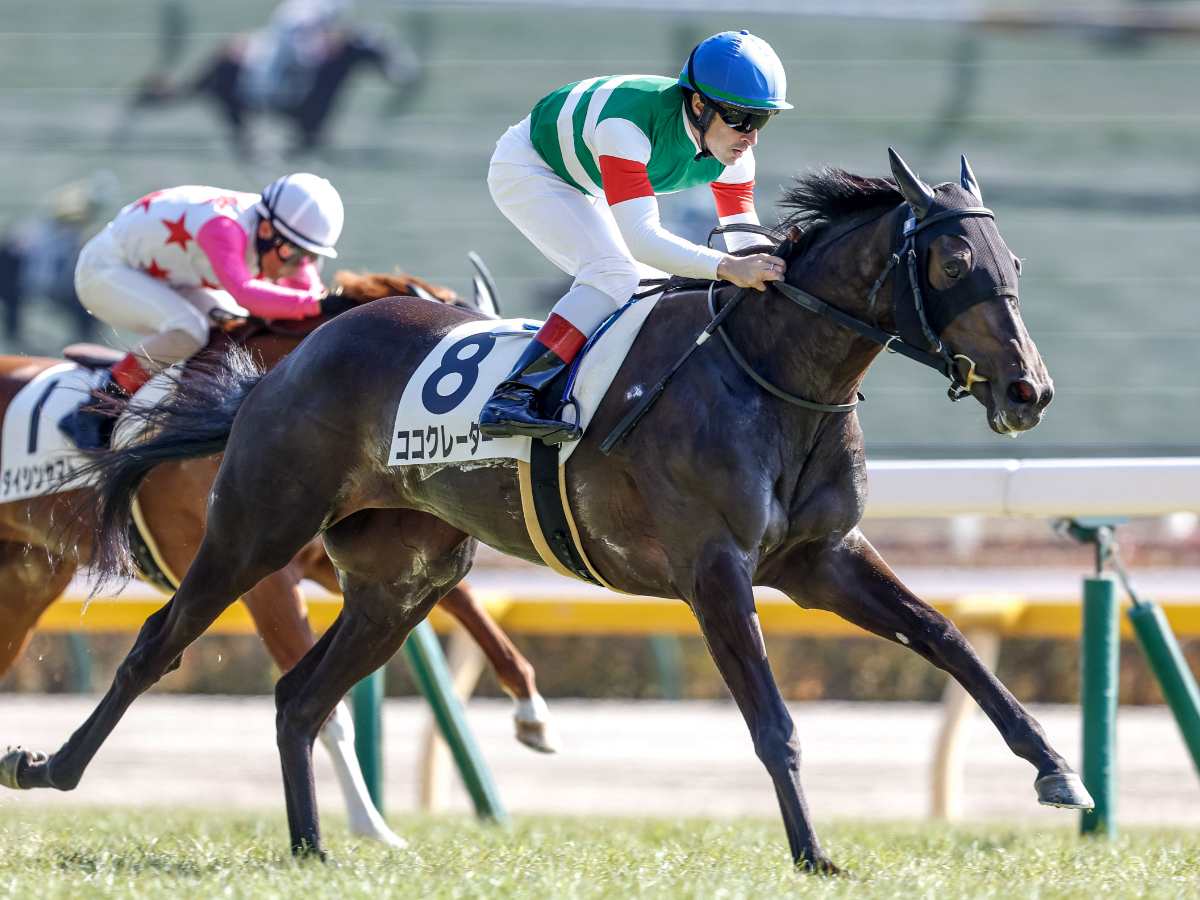 【フラワーカップ2023予想】中山芝1800mで好成績の騎手は？ 騎乗予定騎手の過去10年成績/競馬予想データ