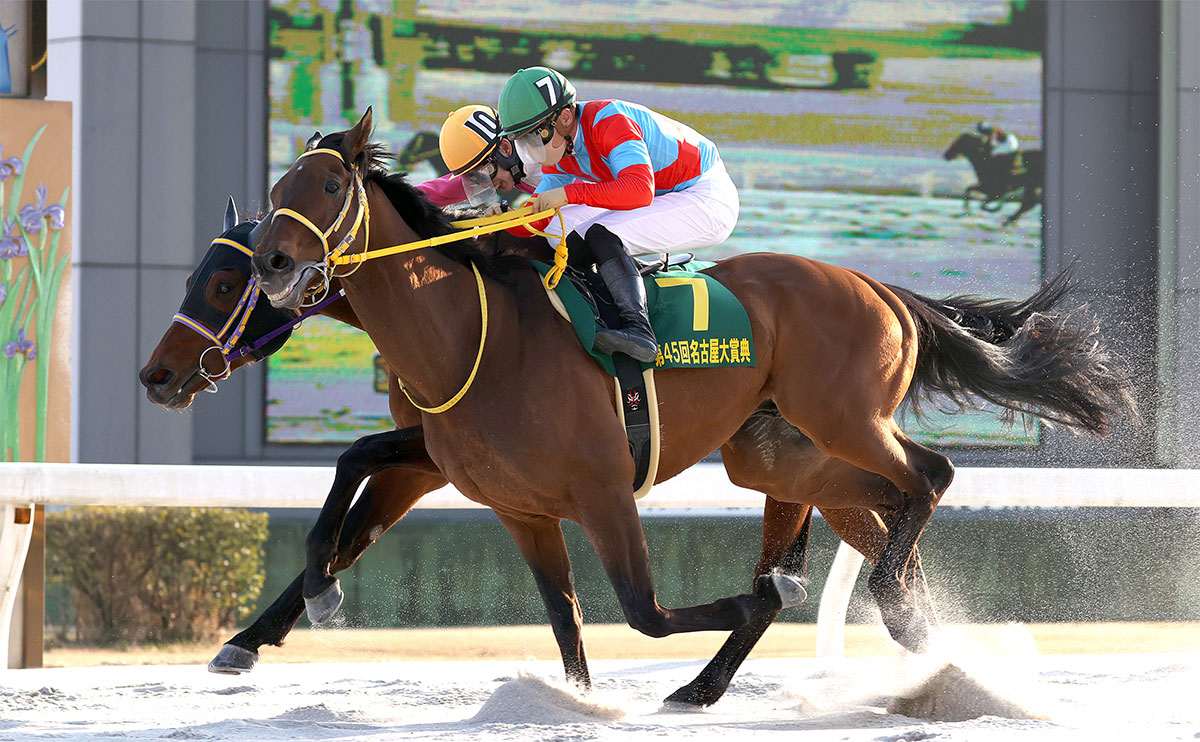 第45回名古屋大賞典を制し連覇達成のクリンチャーと川田将雅騎手(撮影：稲葉訓也)