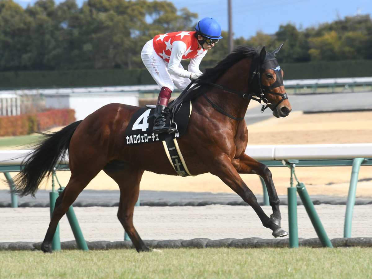 【ファルコンステークス2023予想】中京芝1400mで好成績の騎手は？ 騎乗予定騎手の過去10年成績/競馬予想データ