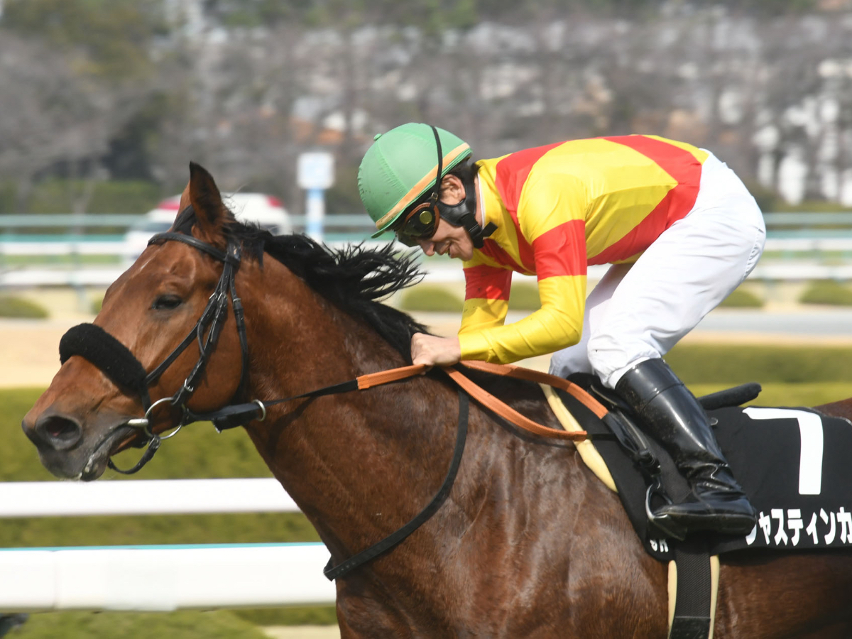 【ダービー卿チャレンジトロフィー予想】有利な枠順は？ 過去10年の枠番・馬番の成績/競馬予想データ