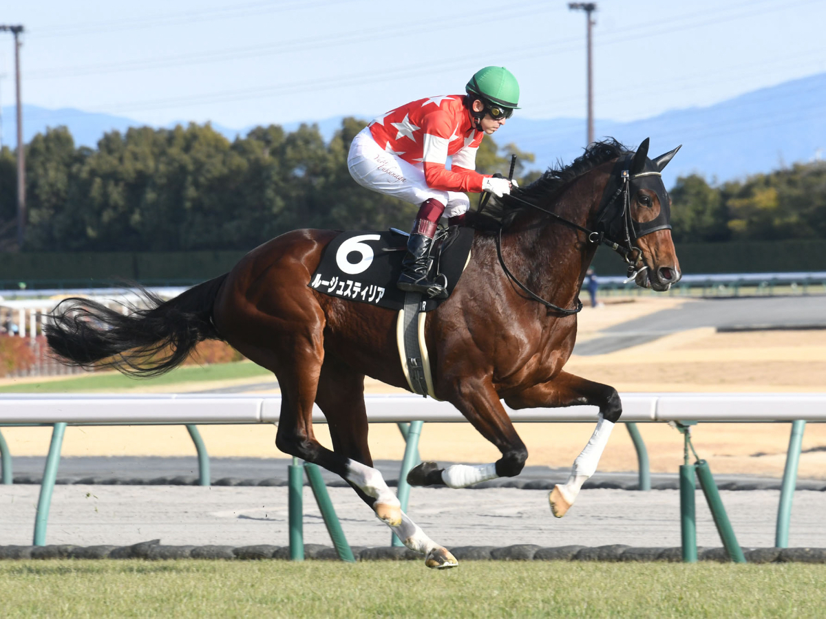 2023年阪神牝馬ステークスに出走予定のルージュスティリア(c)netkeiba.com