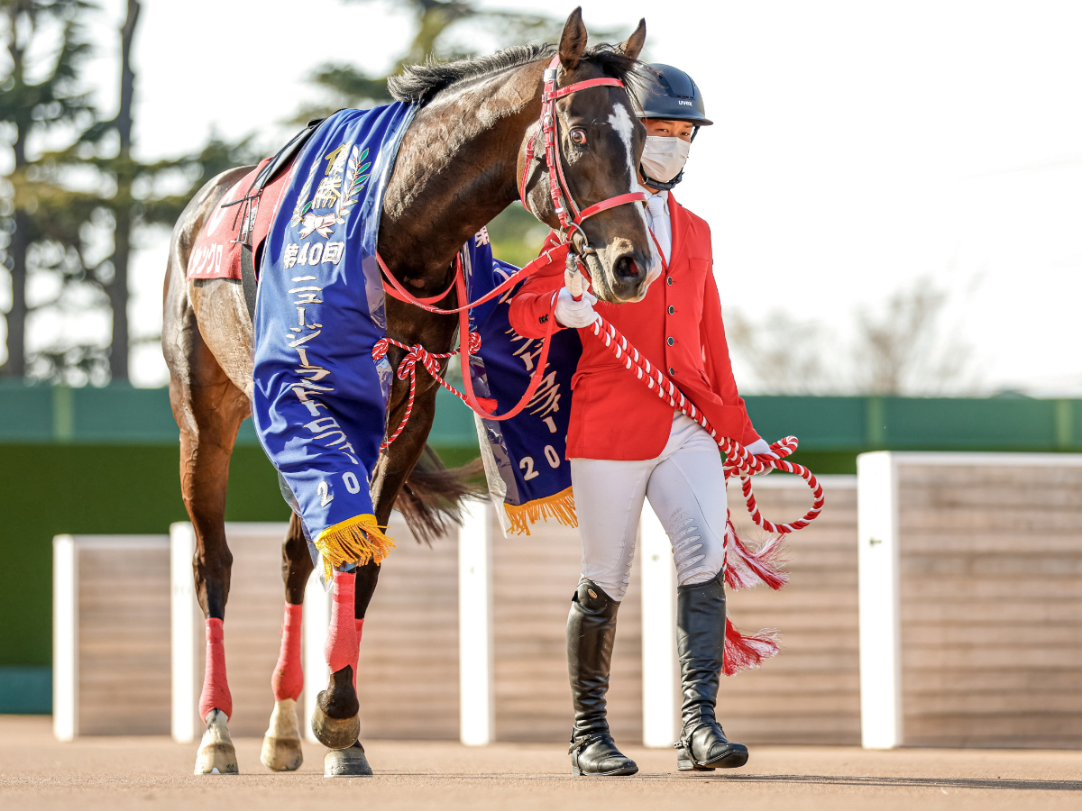 【ニュージーランドトロフィー2023予想】有利な枠順は？ 過去10年の枠番・馬番の成績/競馬予想データ