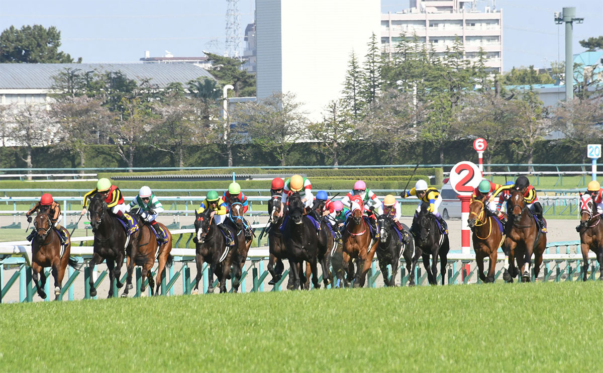 直線で各馬が横に並び1着を目指す(c)netkeiba.com