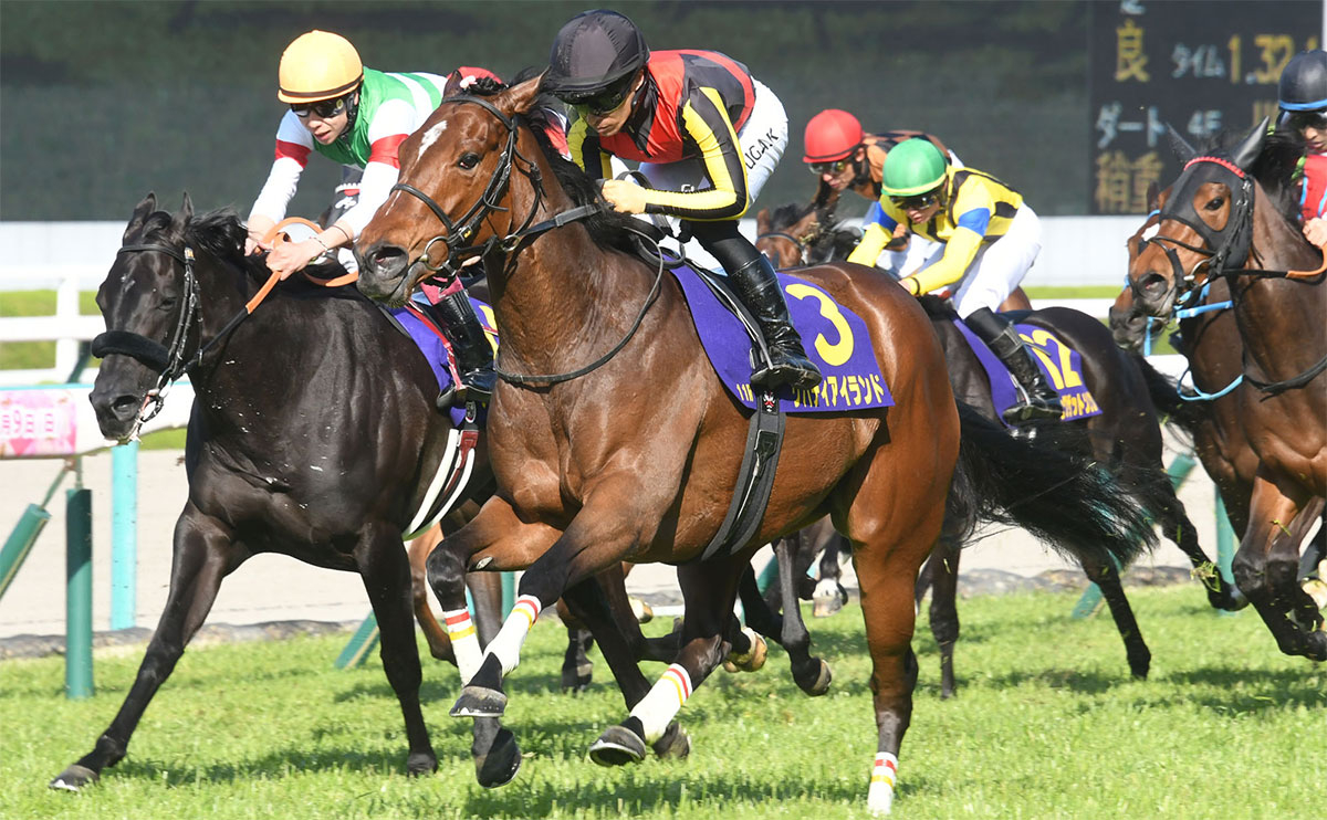 2023年 桜花賞(G1)を写真で振り返る【リバティアイランド 川田将雅騎手