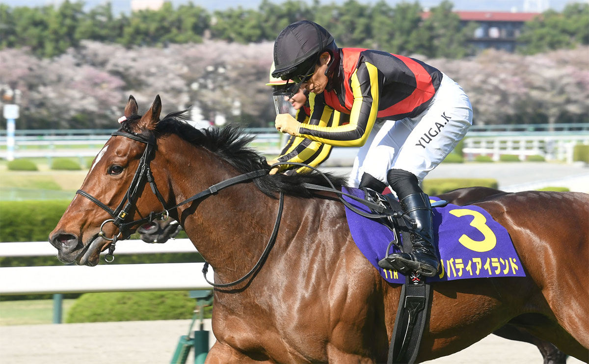 2023年 桜花賞(G1)を写真で振り返る【リバティアイランド 川田将雅騎手 