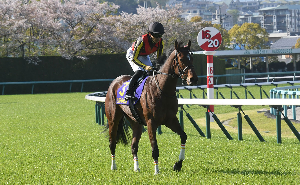 ゴール前へ戻ってくるリバティアイランド(c)netkeiba.com