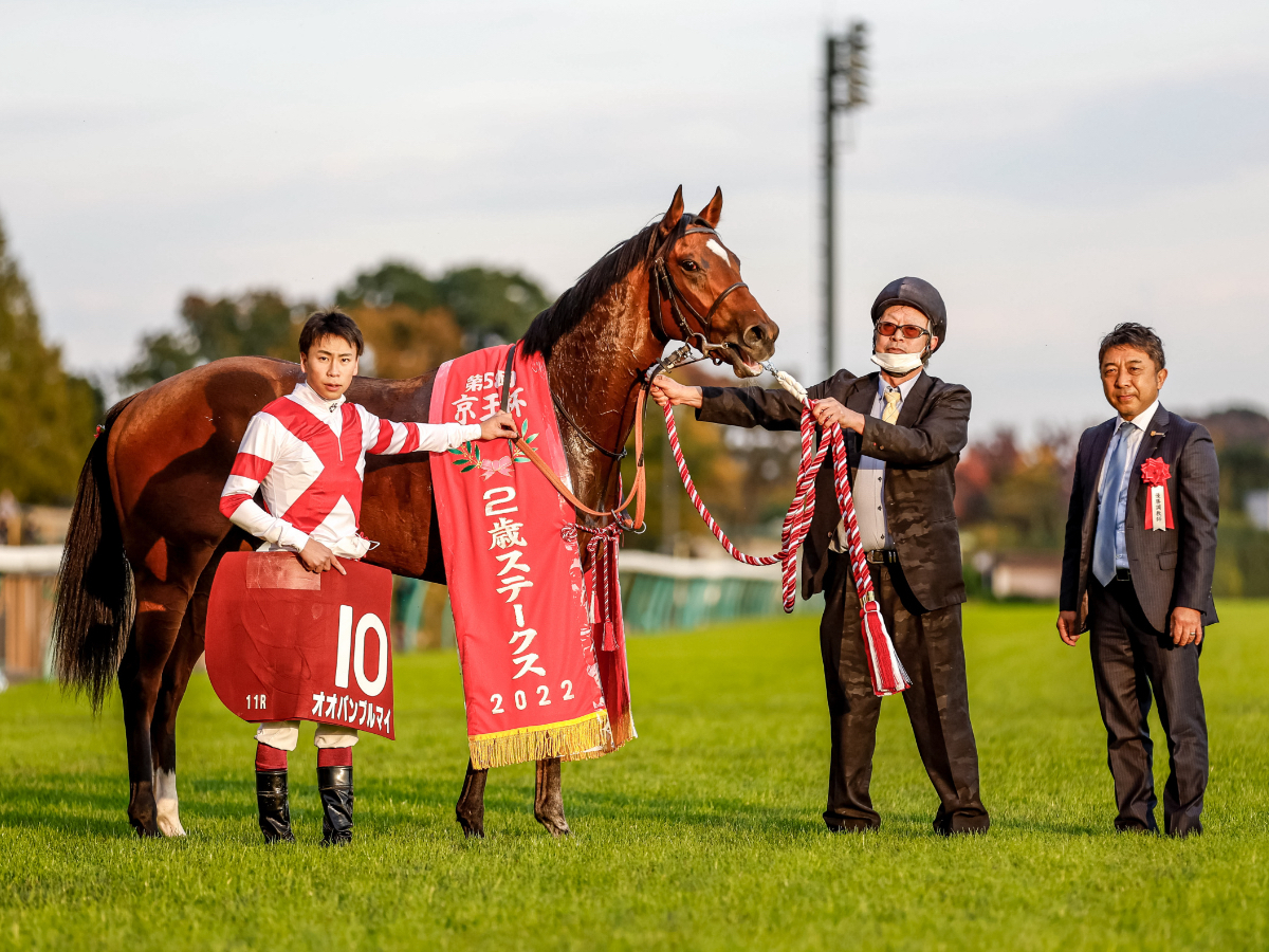 【アーリントンカップ2023予想】阪神芝1600mで好成績の騎手は？ 騎乗予定騎手の過去10年成績/競馬予想データ