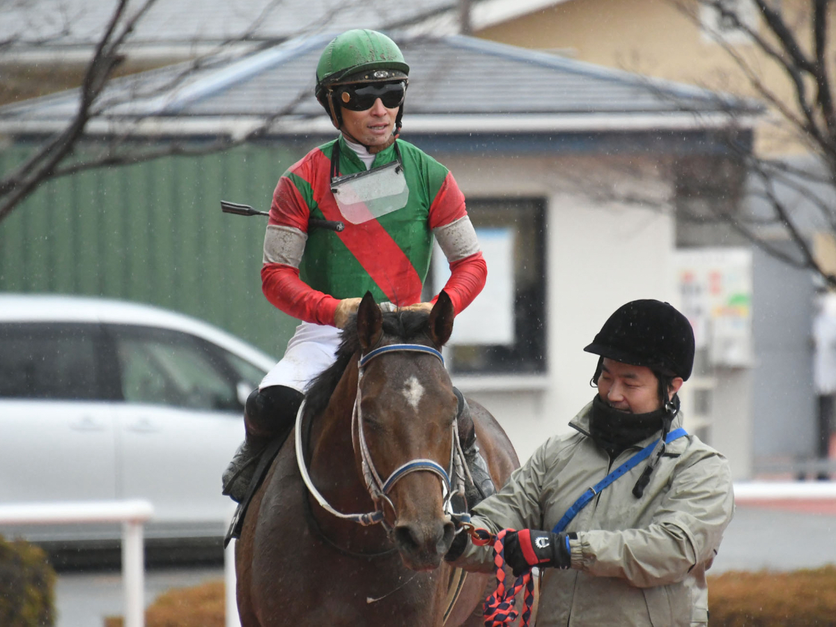 【アンタレスステークス2023予想】有利な枠順は？ 過去10年の枠番・馬番の成績/競馬予想データ