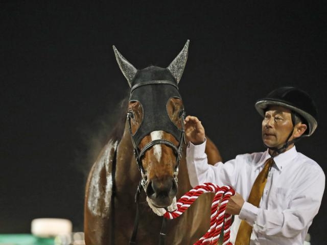 【マリーンカップ2023結果情報】米三冠馬の産駒ペルアアが圧勝で重賞初制覇！