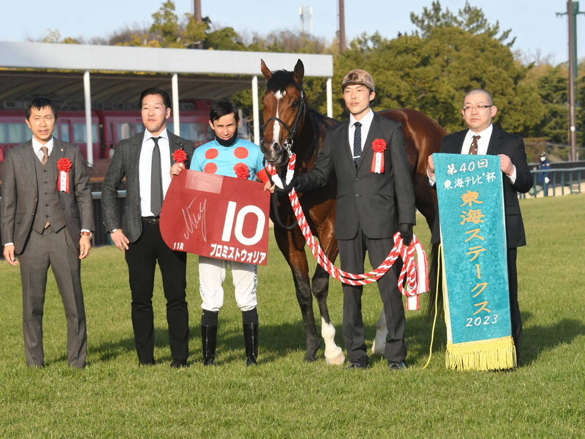 2023年アンタレスステークスに出走予定のプロミストウォリア(c)netkeiba.com