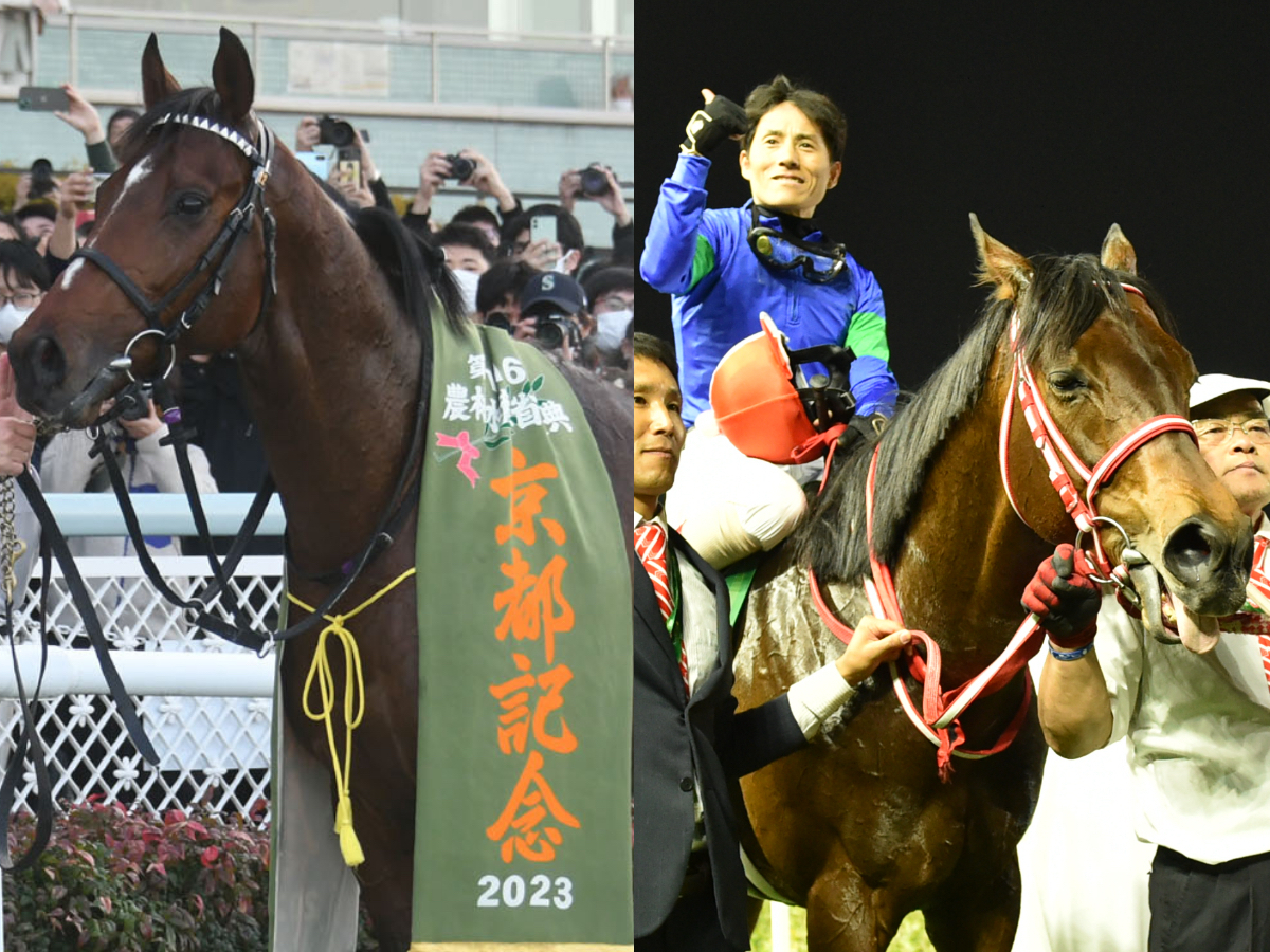 2023年版】日本馬イクイノックスがレーティング135ポンド獲得で世界1位