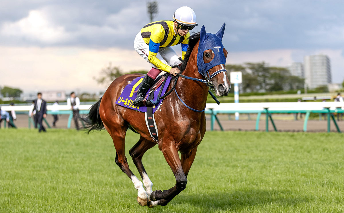 2023年 皐月賞(G1)を写真で振り返る【ソールオリエンス 横山武史騎手】 | 競馬まとめ - netkeiba