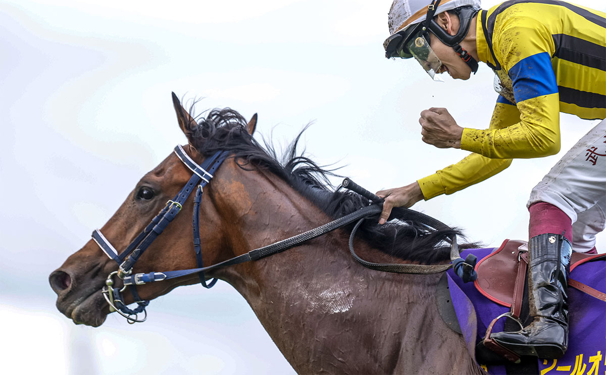 2023年 皐月賞(G1)を写真で振り返る【ソールオリエンス 横山武史騎手】 | 競馬まとめ - netkeiba