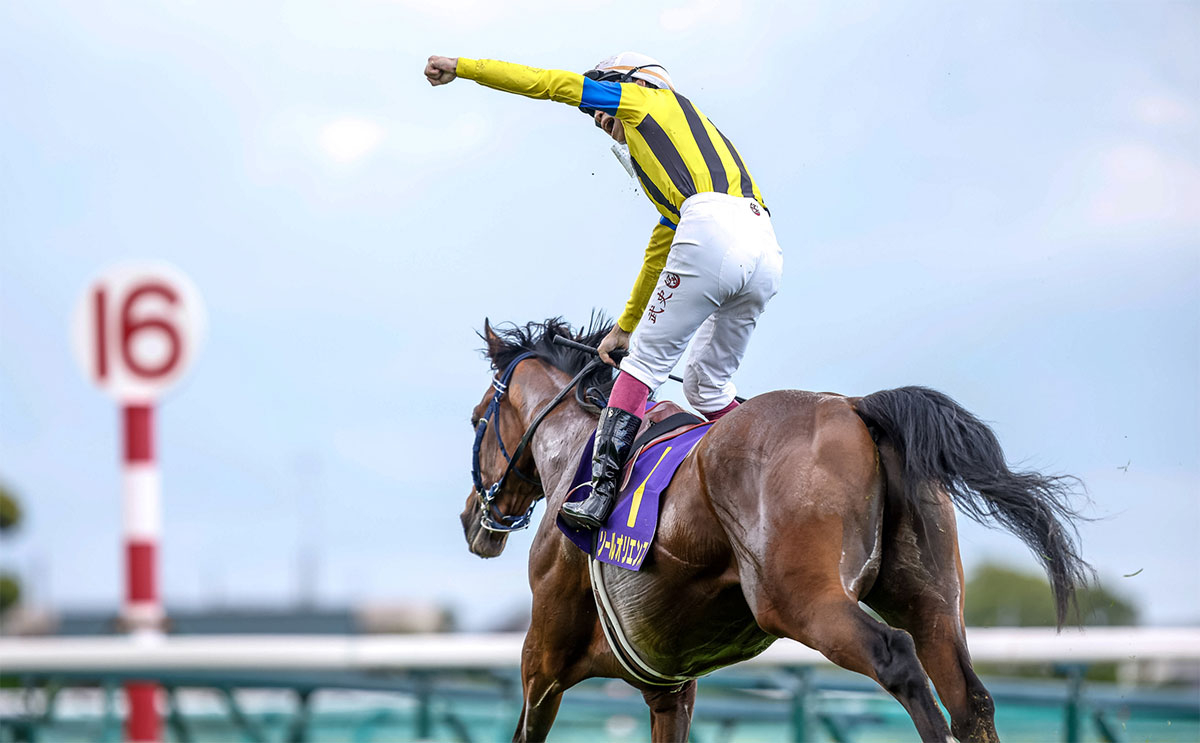 2023年 皐月賞(G1)を写真で振り返る【ソールオリエンス 横山武史騎手】 | 競馬まとめ - netkeiba