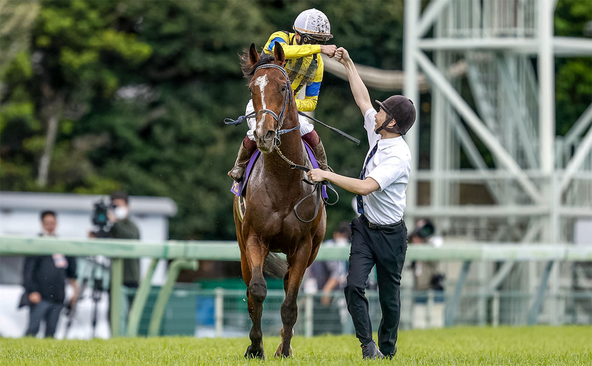 厩舎スタッフとグータッチをする横山武史騎手(撮影：下野雄規)