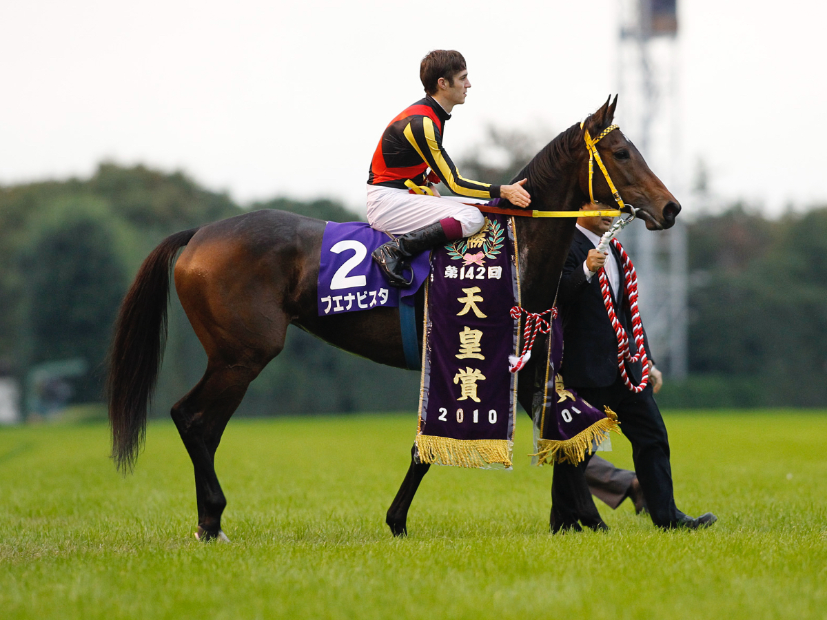 競走馬の「毛色」の種類を解説！ | 競馬用語まとめ | 競馬まとめ