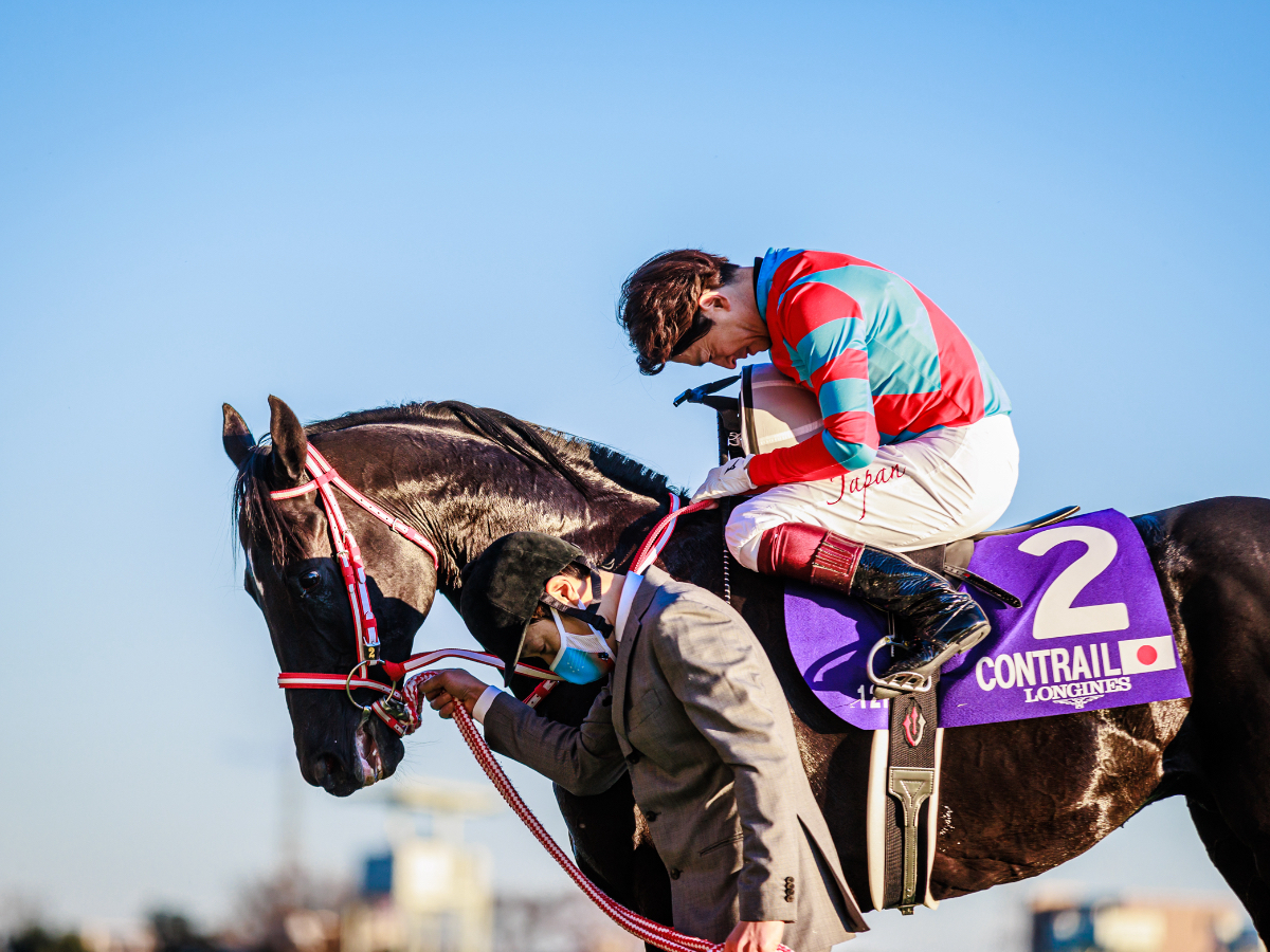 競走馬の「毛色」の種類を解説！ | 競馬用語まとめ | 競馬まとめ