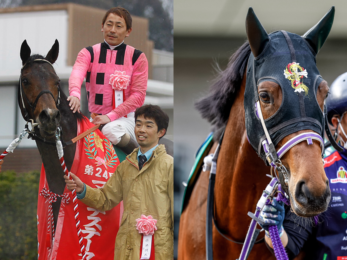 一口クラブ「ターフ・スポート」とは？ 主な所有馬・成績・勝負服など / クラブ法人・愛馬会法人まとめ