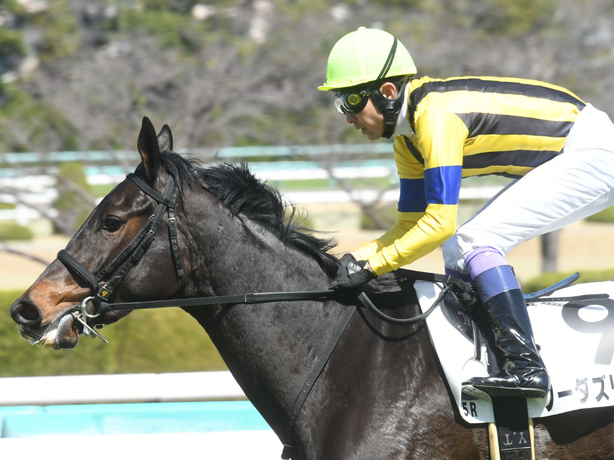 【フローラステークス2023予想】東京芝2000mで好成績の騎手は？ 騎乗騎手の過去10年成績/競馬予想データ