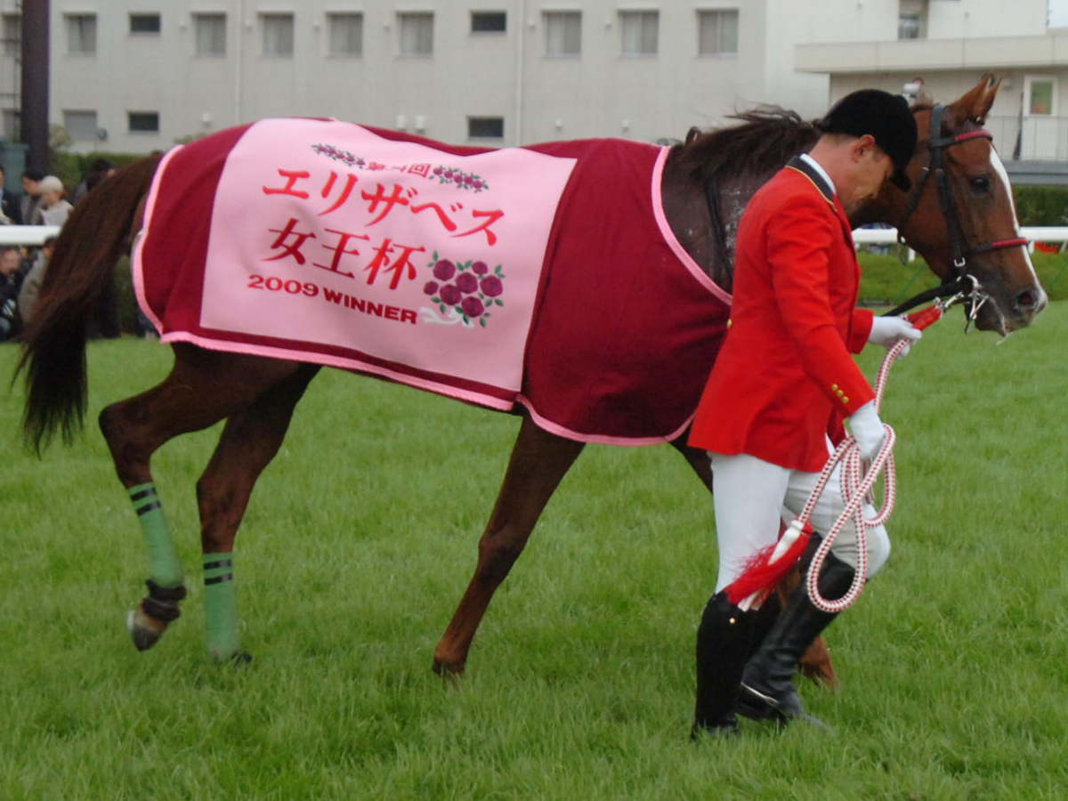 一口クラブ「グリーンファーム」とは？ 主な所有馬・成績・勝負服など / クラブ法人・愛馬会法人まとめ