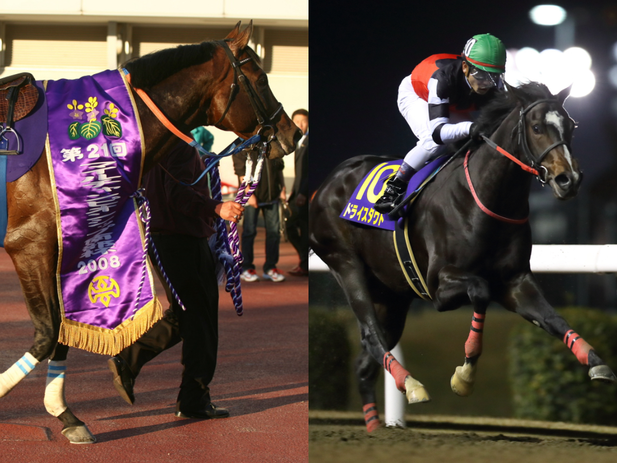 一口クラブ「YGGホースクラブ」とは？ 主な所有馬・成績・勝負服など / クラブ法人・愛馬会法人まとめ