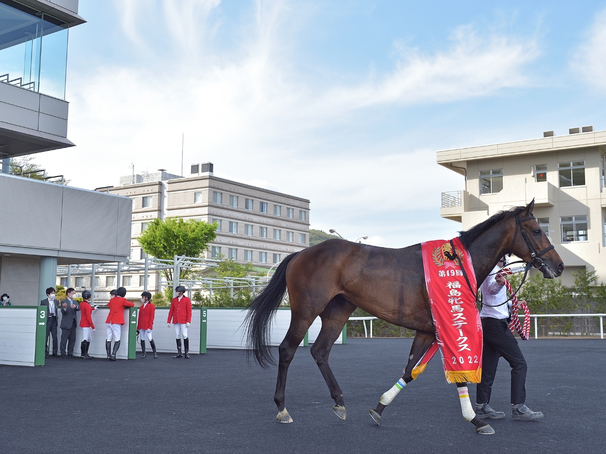 【福島牝馬ステークス2023予想】有利な枠順は？ 過去10年の枠番・馬番の成績/競馬予想データ