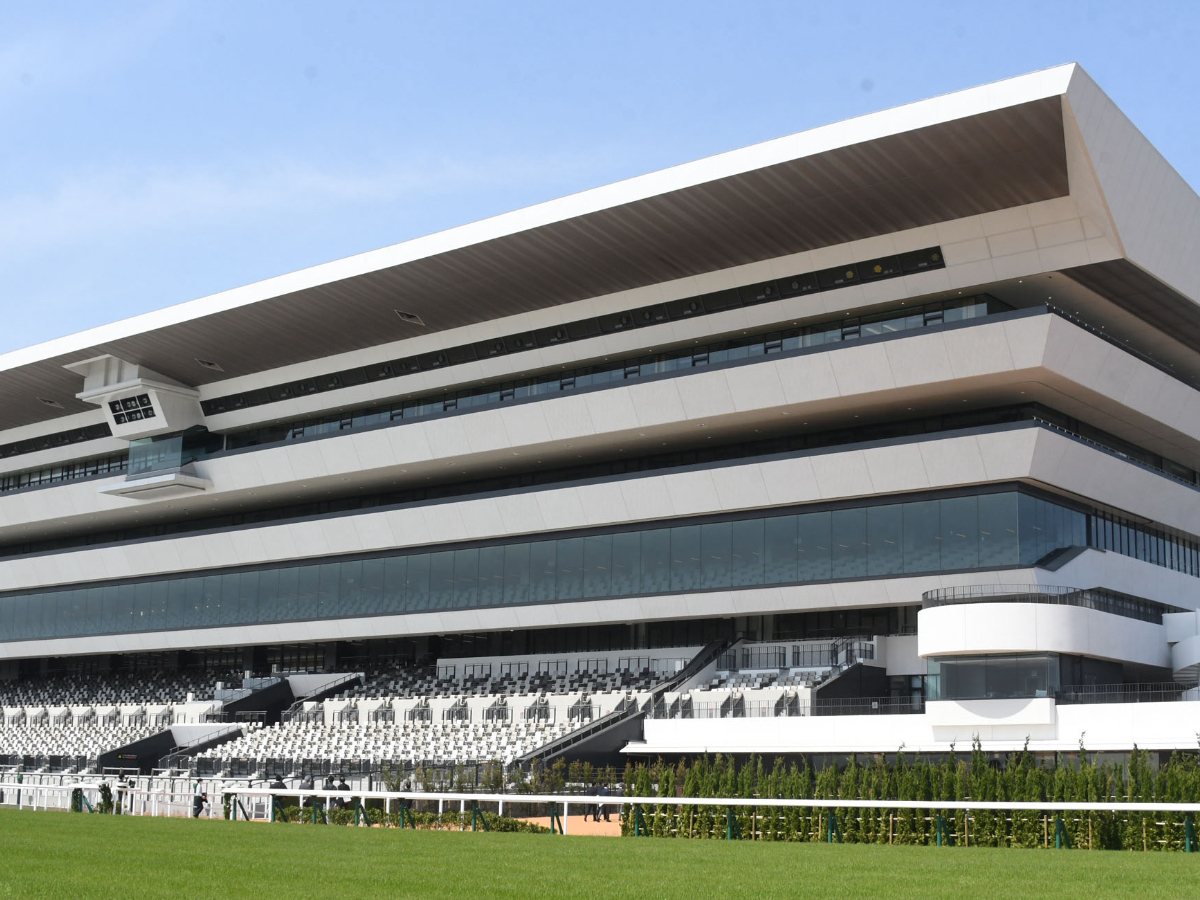 京都競馬場。2023年3月30日撮影(c)netkeiba.com