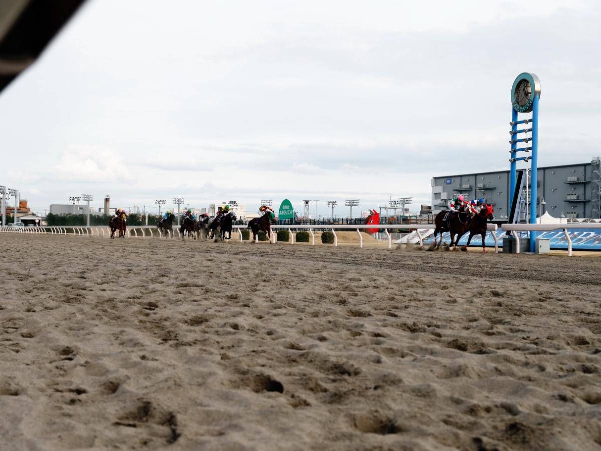 川崎競馬場。2021年3月4日撮影(写真提供：川崎競馬組合)