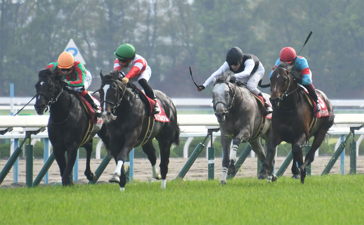 【マイラーズカップ予想】3年ぶり京都競馬場の傾向から注目すべきポイントとは？ 過去10年のレース結果（1～3着馬）のデータ一覧/競馬予想データ