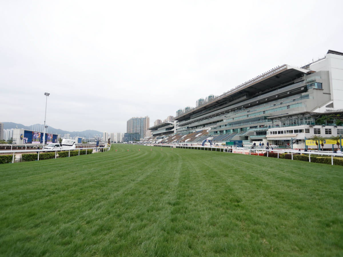 香港・シャティン競馬場(撮影：高橋正和)