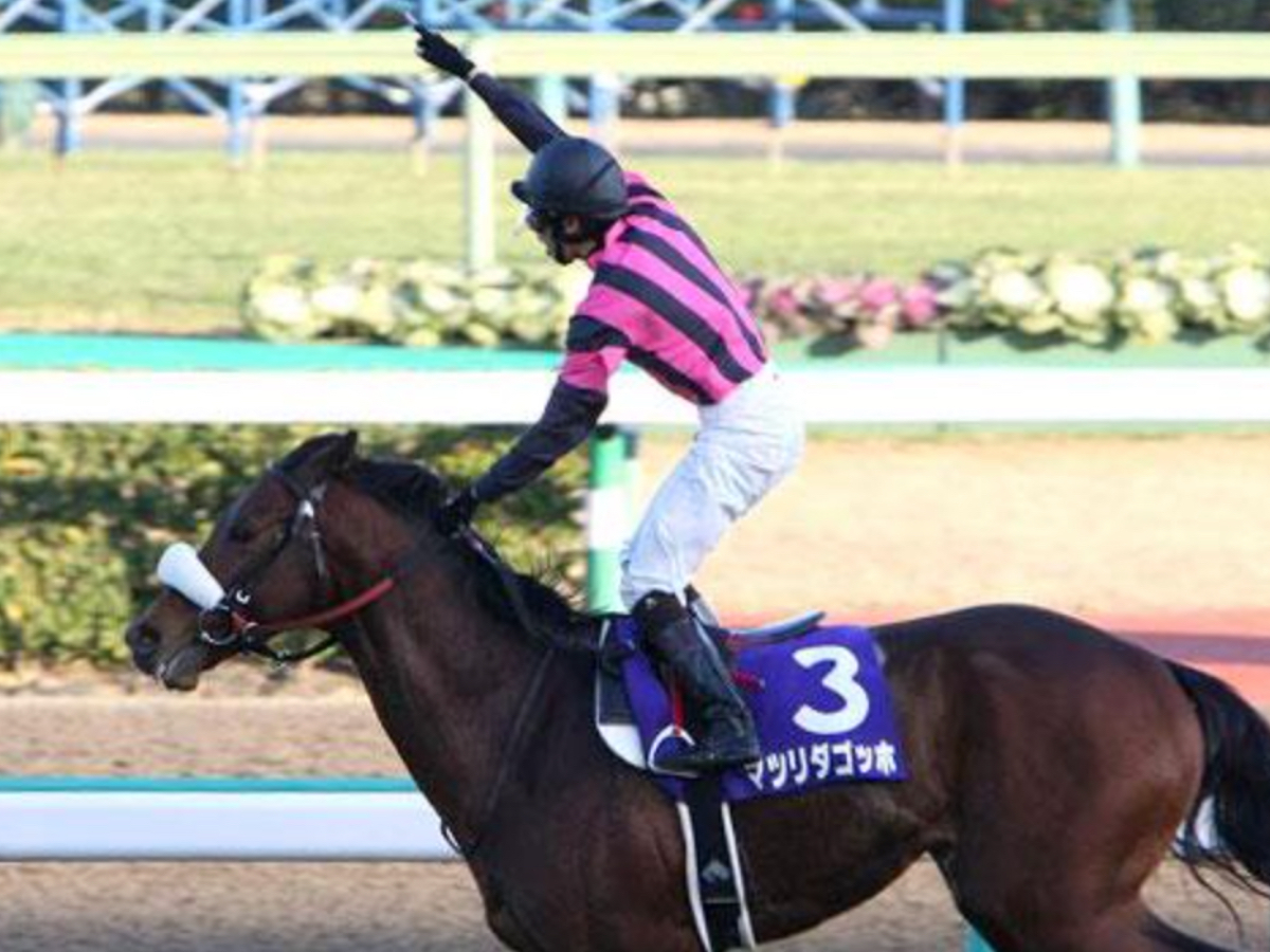 経済コースをスルスルと抜け出し2007年の有馬記念を勝利したマツリダゴッホ(ユーザー提供：バク逃げさん)