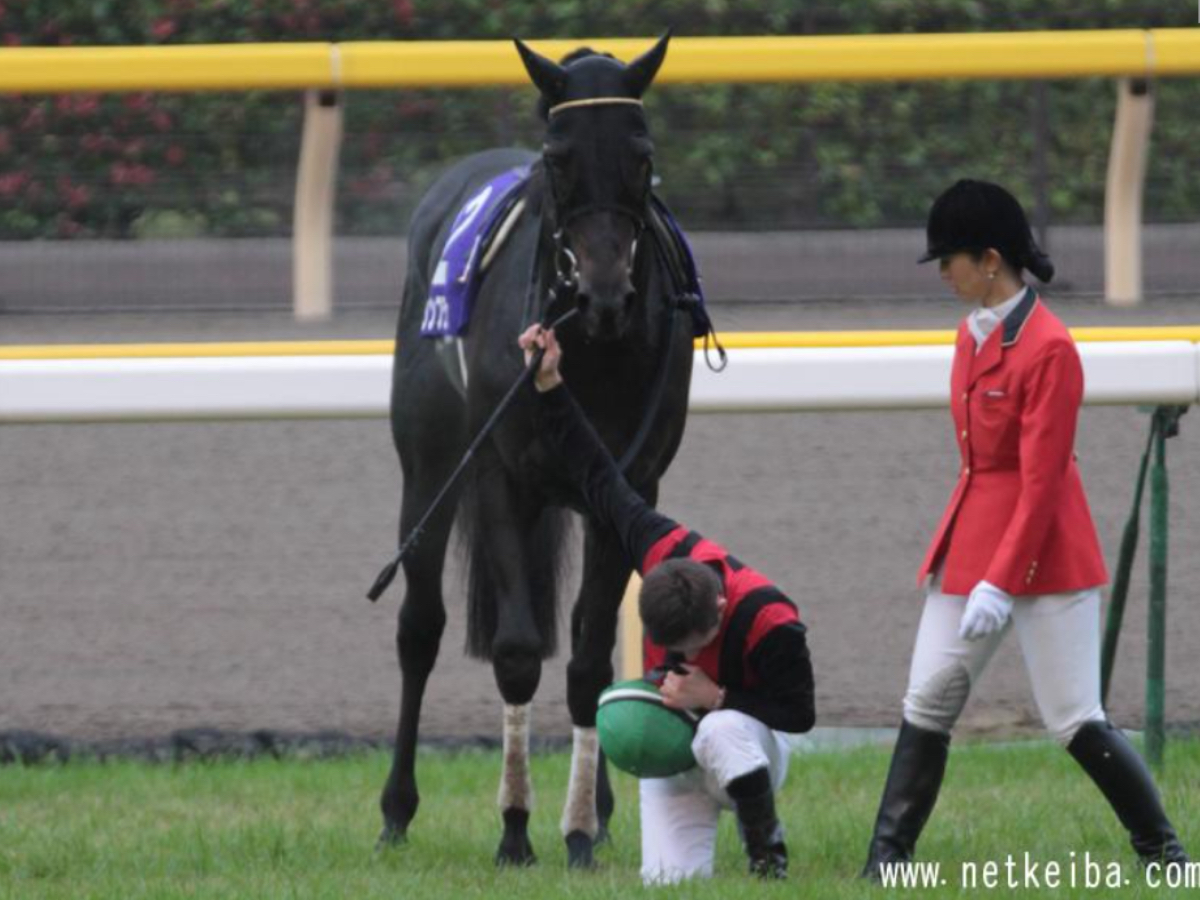2012年天皇賞(秋)で1着入線後にエイシンフラッシュから下馬、最敬礼をおこなったミルコ・デムーロ騎手の様子(ユーザー提供:evangelionさん)