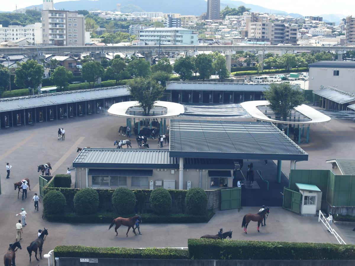 小倉競馬場の装鞍所の様子