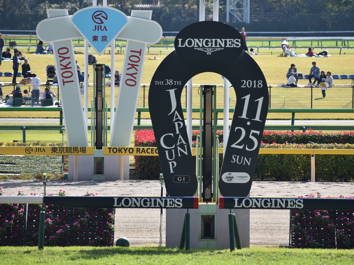 2018年11月3日撮影、東京競馬場ジャパンカップ仕様のゴール板